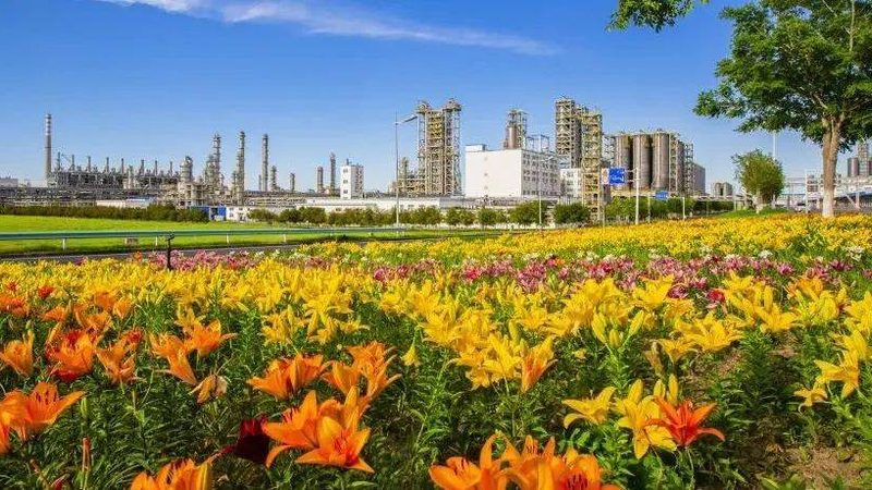 汽车用工程塑料：揭秘种类与特性