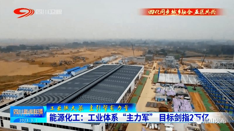 上海乳化剂材质供应商：揭秘乳化剂的选择与应用